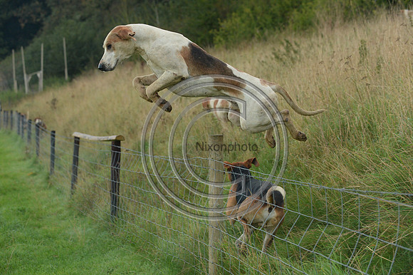 Blackmore & Sparkford Vale Hunt 07 09 20