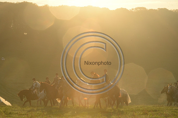 Blackmore & Sparkford Vale Hunt 07 09 20