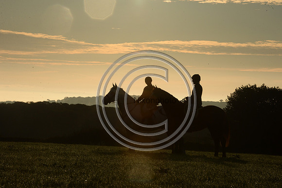 Blackmore & Sparkford Vale Hunt 07 09 20