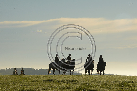 Blackmore & Sparkford Vale Hunt 07 09 20