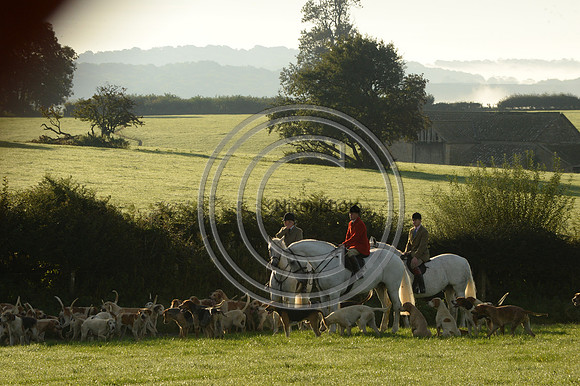 Blackmore & Sparkford Vale Hunt 07 09 20