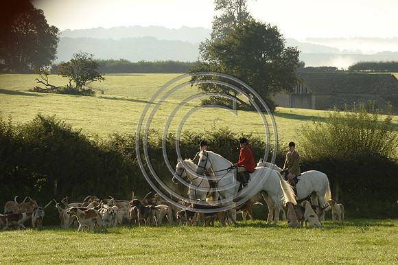 Blackmore & Sparkford Vale Hunt 07 09 20
