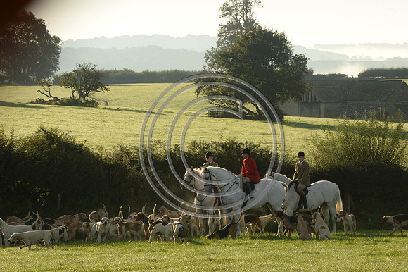 Blackmore & Sparkford Vale Hunt 07 09 20