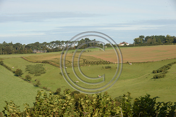 Blackmore & Sparkford Vale Hunt 07 09 20