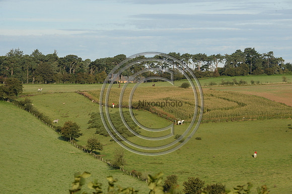 Blackmore & Sparkford Vale Hunt 07 09 20