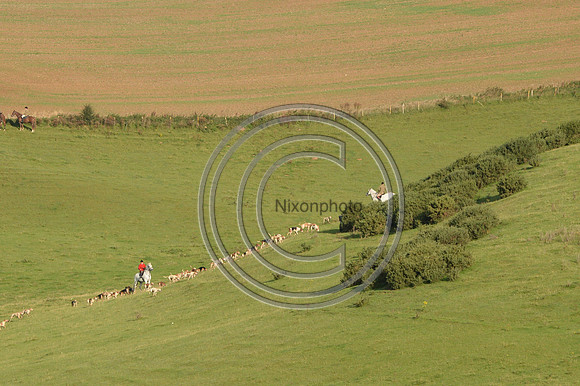 Blackmore & Sparkford Vale Hunt 07 09 20
