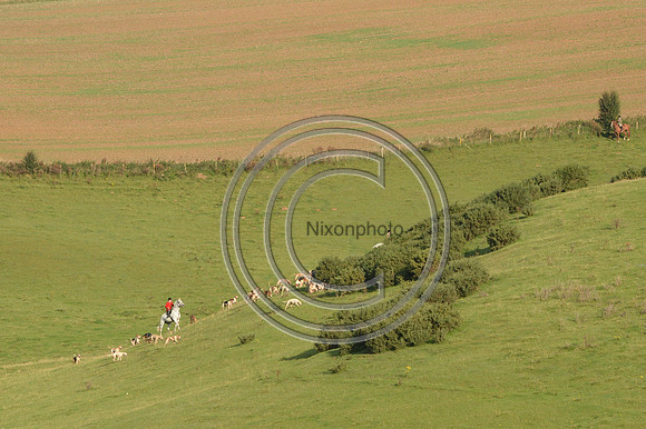 Blackmore & Sparkford Vale Hunt 07 09 20