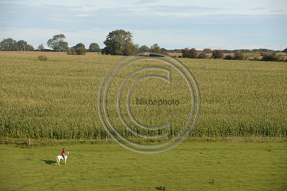 Blackmore & Sparkford Vale Hunt 07 09 20