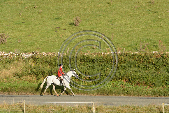 Blackmore & Sparkford Vale Hunt 07 09 20