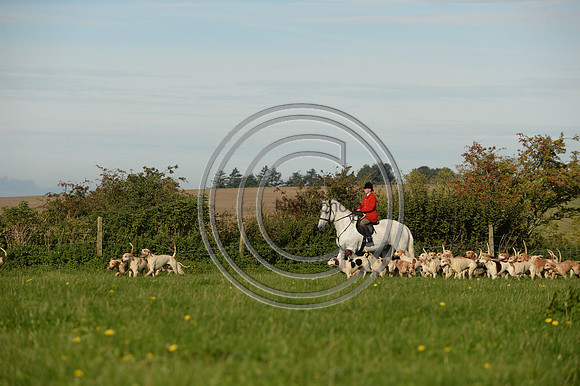 Blackmore & Sparkford Vale Hunt 07 09 20