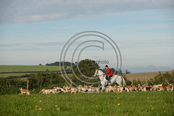 Blackmore & Sparkford Vale Hunt 07 09 20