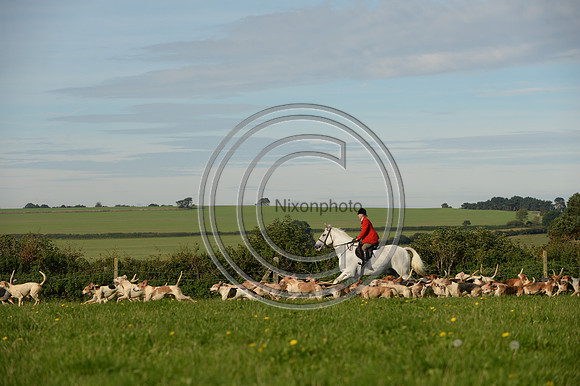 Blackmore & Sparkford Vale Hunt 07 09 20