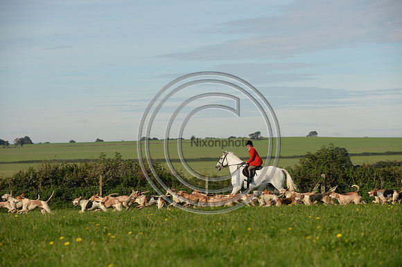 Blackmore & Sparkford Vale Hunt 07 09 20