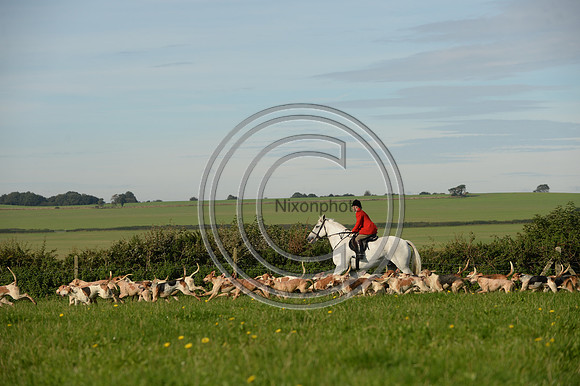 Blackmore & Sparkford Vale Hunt 07 09 20