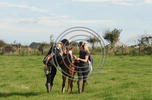 Blackmore & Sparkford Vale Hunt 07 09 20