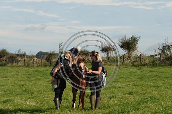 Blackmore & Sparkford Vale Hunt 07 09 20