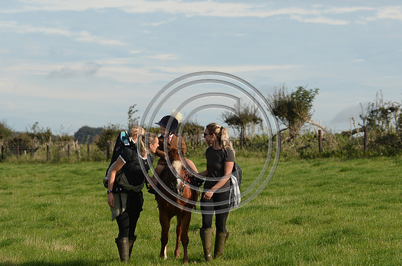 Blackmore & Sparkford Vale Hunt 07 09 20