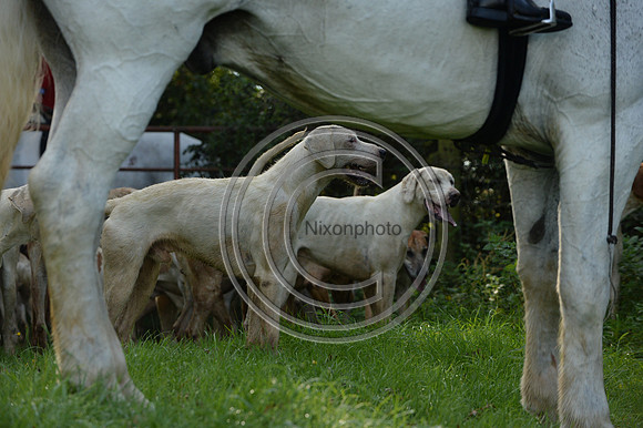 Blackmore & Sparkford Vale Hunt 07 09 20