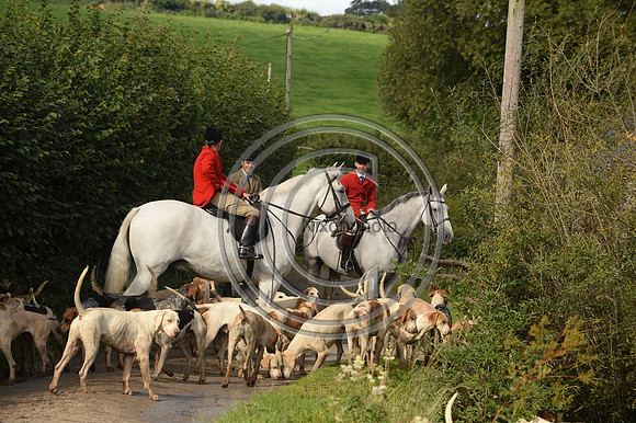 Blackmore & Sparkford Vale Hunt 07 09 20