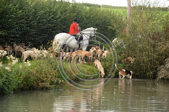Blackmore & Sparkford Vale Hunt 07 09 20