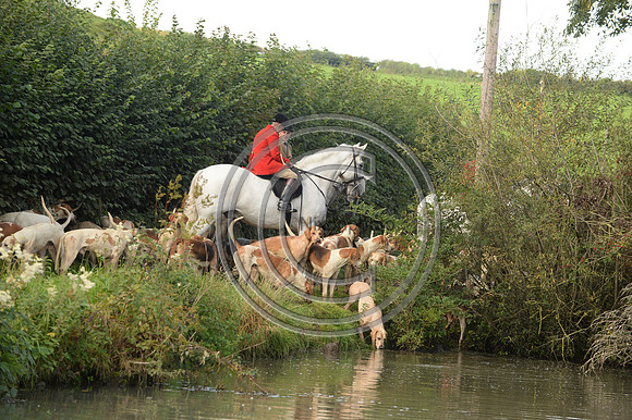Blackmore & Sparkford Vale Hunt 07 09 20