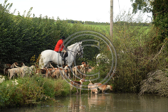 Blackmore & Sparkford Vale Hunt 07 09 20