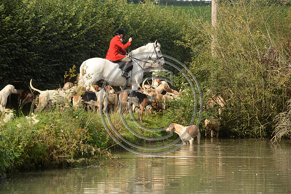 Blackmore & Sparkford Vale Hunt 07 09 20