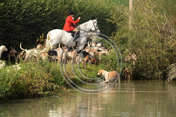 Blackmore & Sparkford Vale Hunt 07 09 20