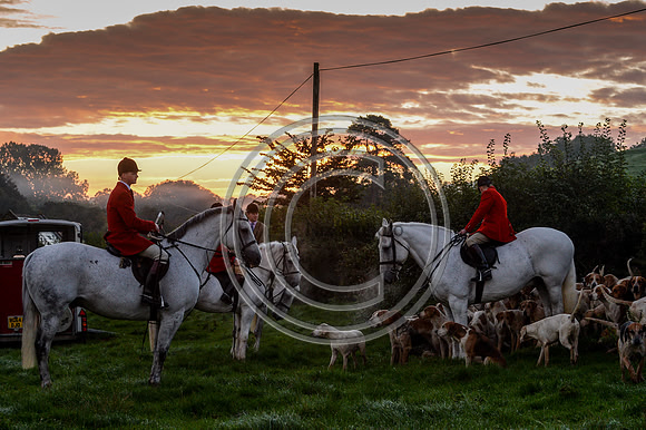 Blackmore & Sparkford Vale Hunt 07 09 20