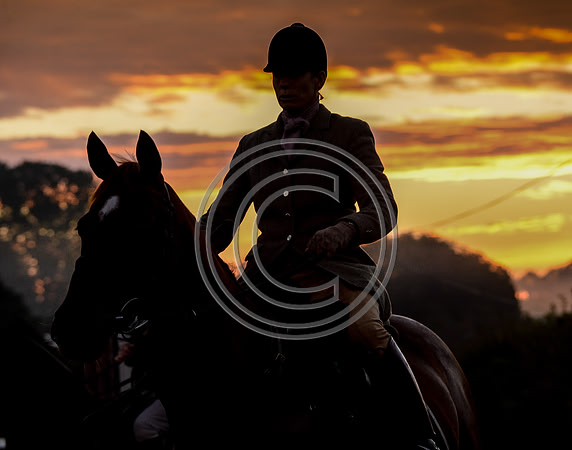 Blackmore & Sparkford Vale Hunt 07 09 20