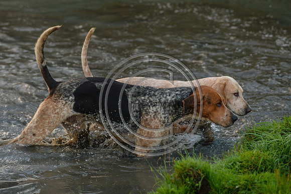 Blackmore & Sparkford Vale Hunt 07 09 20
