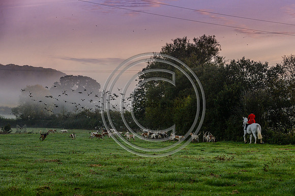 Blackmore & Sparkford Vale Hunt 07 09 20
