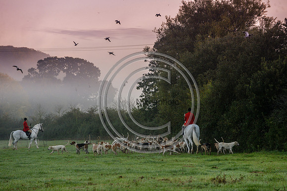 Blackmore & Sparkford Vale Hunt 07 09 20