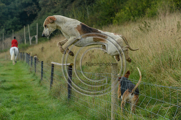 Blackmore & Sparkford Vale Hunt 07 09 20
