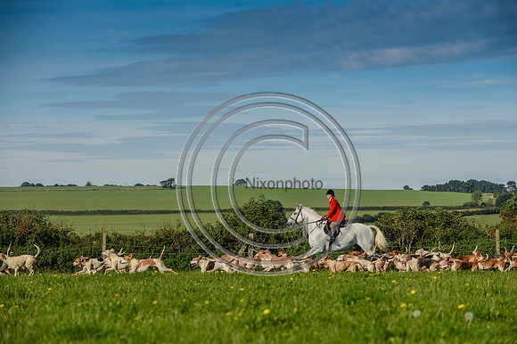 Blackmore & Sparkford Vale Hunt 07 09 20