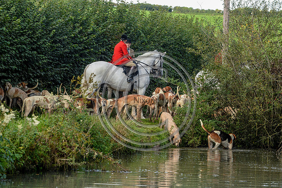 Blackmore & Sparkford Vale Hunt 07 09 20