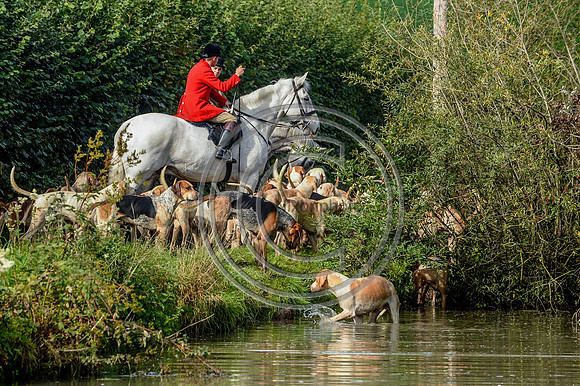 Blackmore & Sparkford Vale Hunt 07 09 20