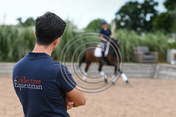 Collective Equestrian