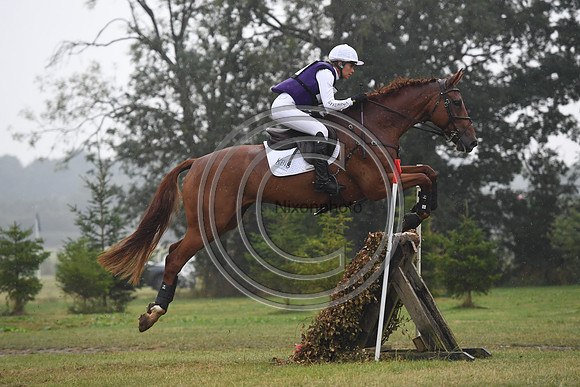 HorseNo41_Aston4_20PN_77822