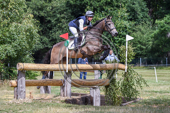 HorseNo373_Tweseldown3_PN20_60678