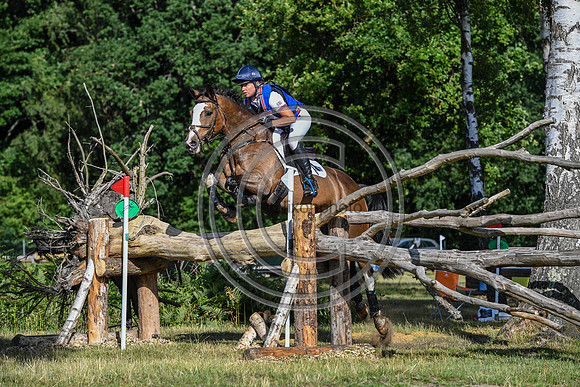 HorseNo379_Tweseldown3_PN20_60910