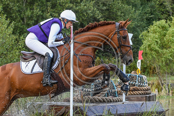 HorseNo629_Wellington_20PN_95761