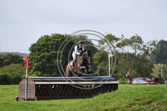 HorseNo735_Burgham_20PN_88148