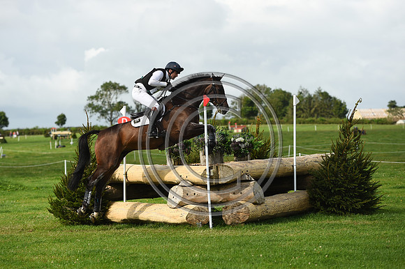 HorseNo735_Burgham_20PN_90446
