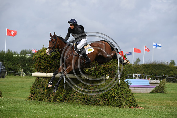 HorseNo782_Burgham_20PN_88315