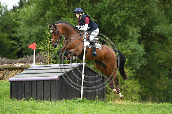 HorseNo805_Aston3_20PN_70282