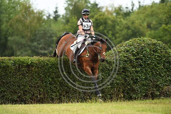 HorseNo933_Aston3_20PN_70809