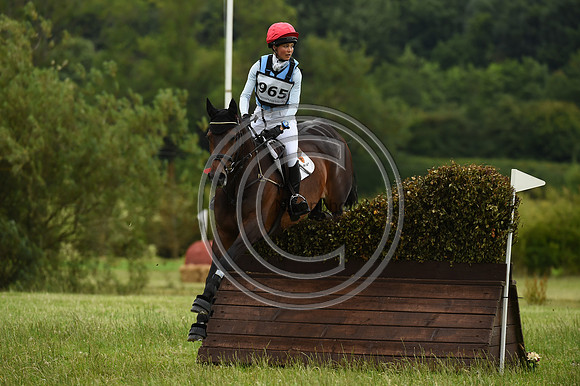 HorseNo965_Aston3_20PN_70750