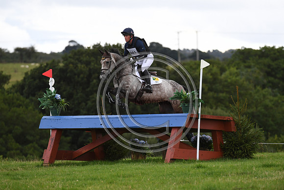 HorseNo981_Burgham_20PN_90960