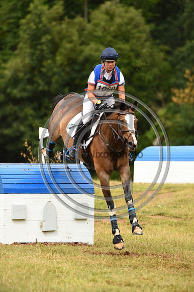 HorseNo1060_Bicton_20PN_75187
